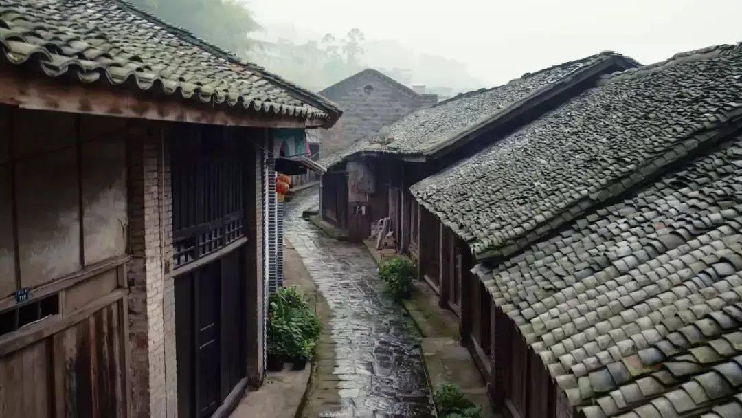 智博专升本学费多少钱游戏画面
